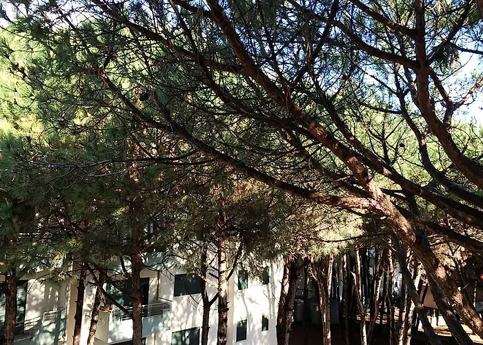 Apartman Golem Apartments