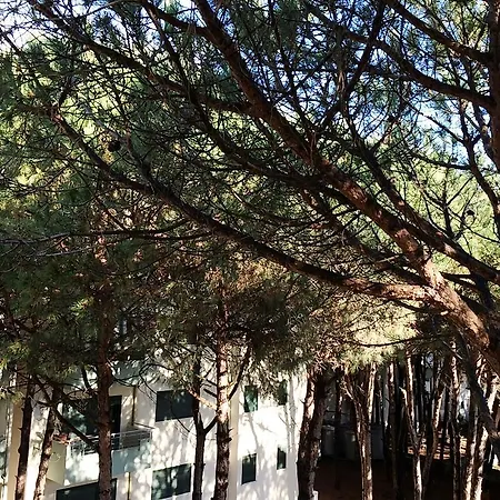 Apartman Golem Apartments